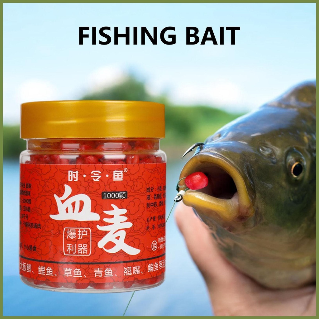Mồi Câu Cá Hình Hạt Bắp 1000 kouvn kouvn