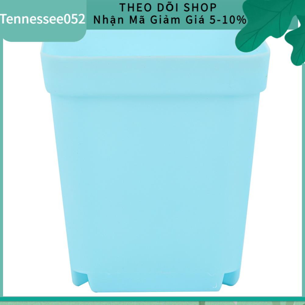 Tennessee052 Chậu Hoa Vườn Cây Giống Trang Trí Mọng Nước Cho Sân Ban Công