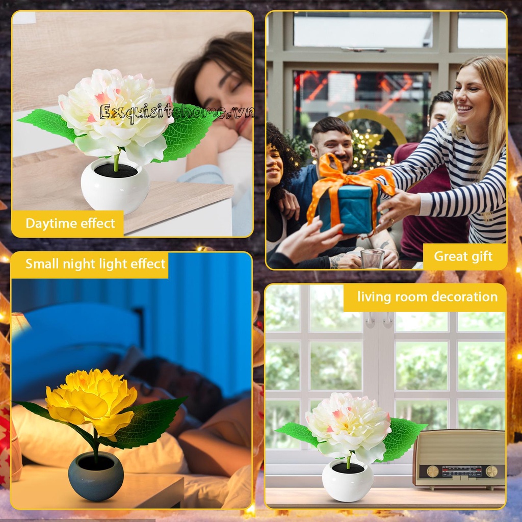 Bó Hoa Mẫu Đơn Có Đèn LED Phát Sáng