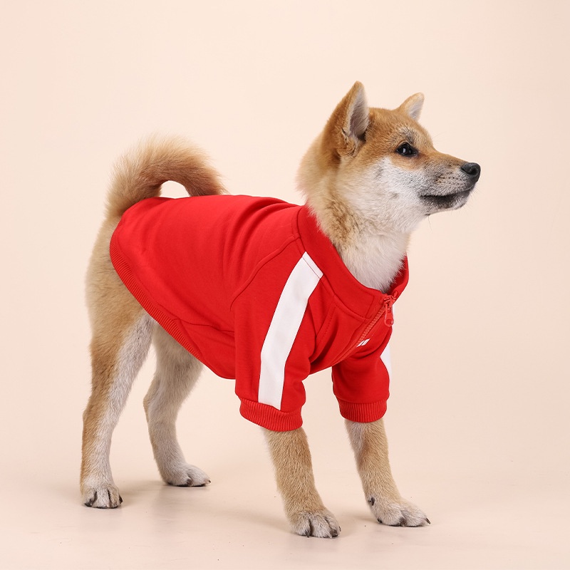 Áo Khoác Bóng Chày Thời Trang Mùa Đông Cho Cún Cưng Cỡ Nhỏ / Vừa / Nhỏ / Chó Bull / Chihuahua