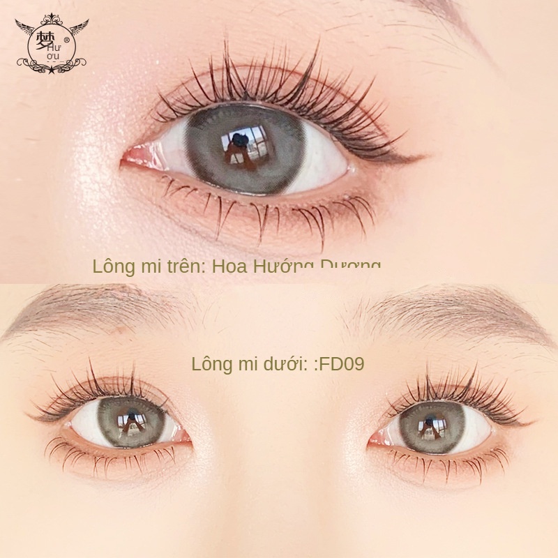Lông Mi Giả Trang Điểm Tự Nhiên Hình Hoa Hướng Dương Nhỏ