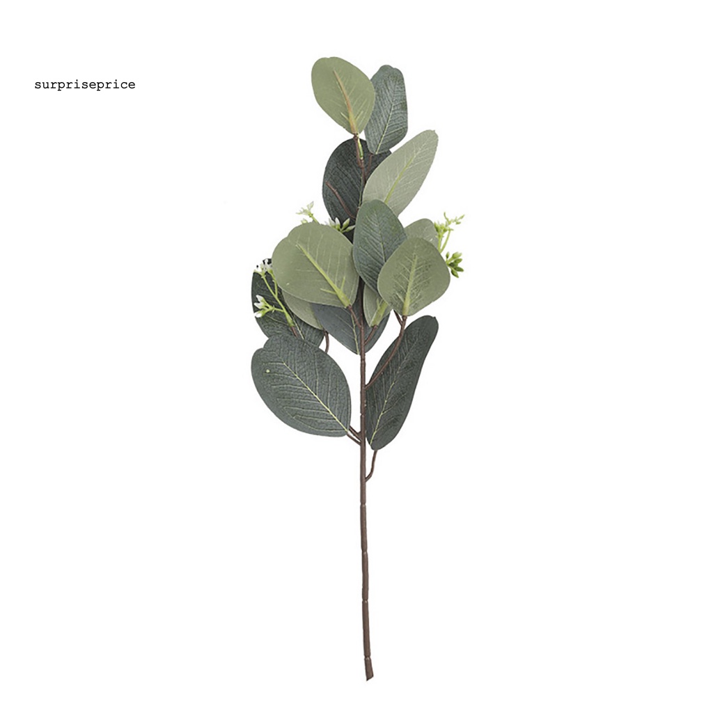 Cây Bạch Đàn Giả Bằng Lụa Tinh Tế Dùng Trang Trí Nhà Cửa