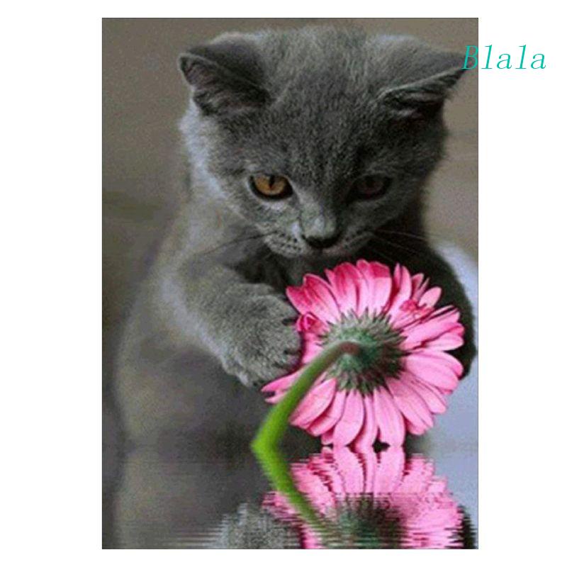 Bộ Tranh Đính Đá 5D Tự Làm Hình Mèo Dễ Thương