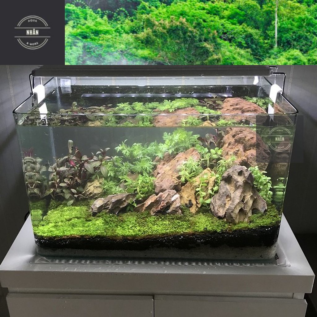 Hồ Kính Đúc Uốn cong 2 góc Kích thước: 40*23*25cm đầy đủ phụ kiện trang trí. Led 3 màu, lọc thác. Bảo hành bể vỡ