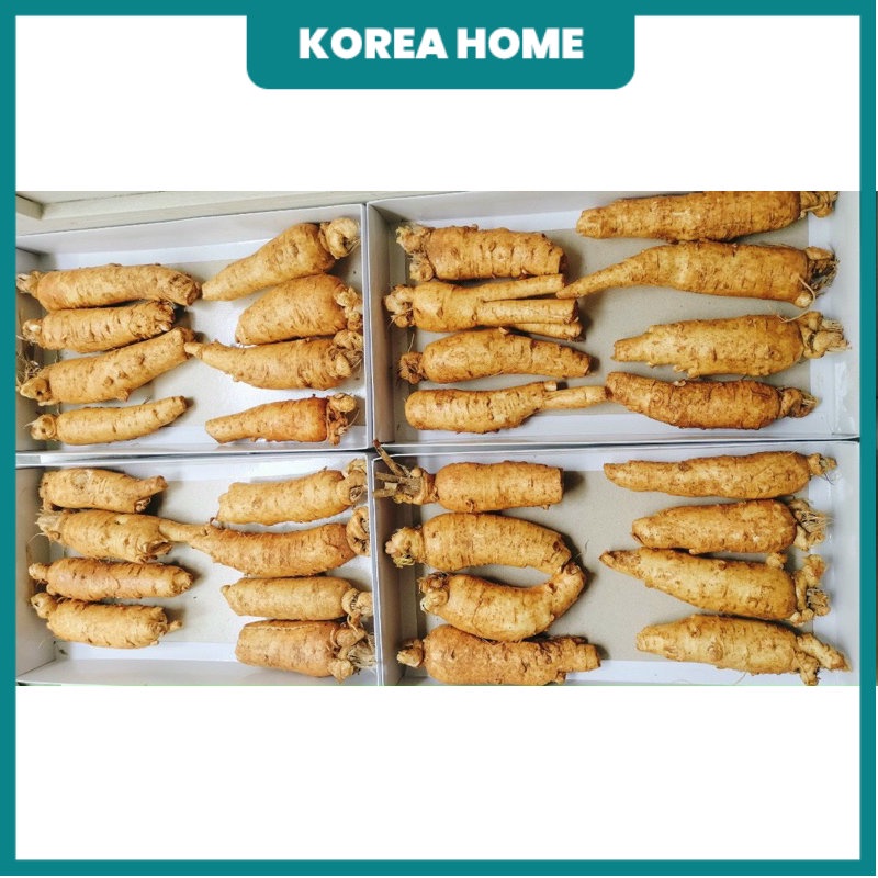 Sâm trọc ngâm mật ong, sâm gãy