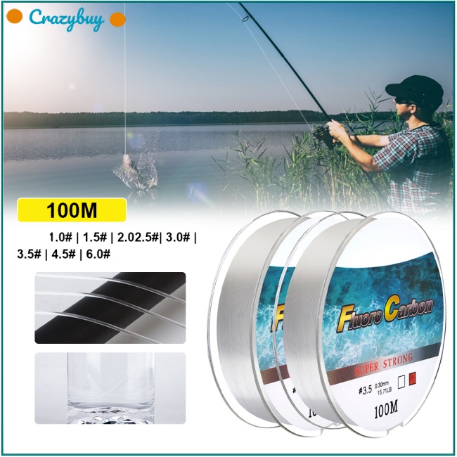 1 Cuộn Dây Câu Cá 100 M 5LB-30LB Siêu Bền