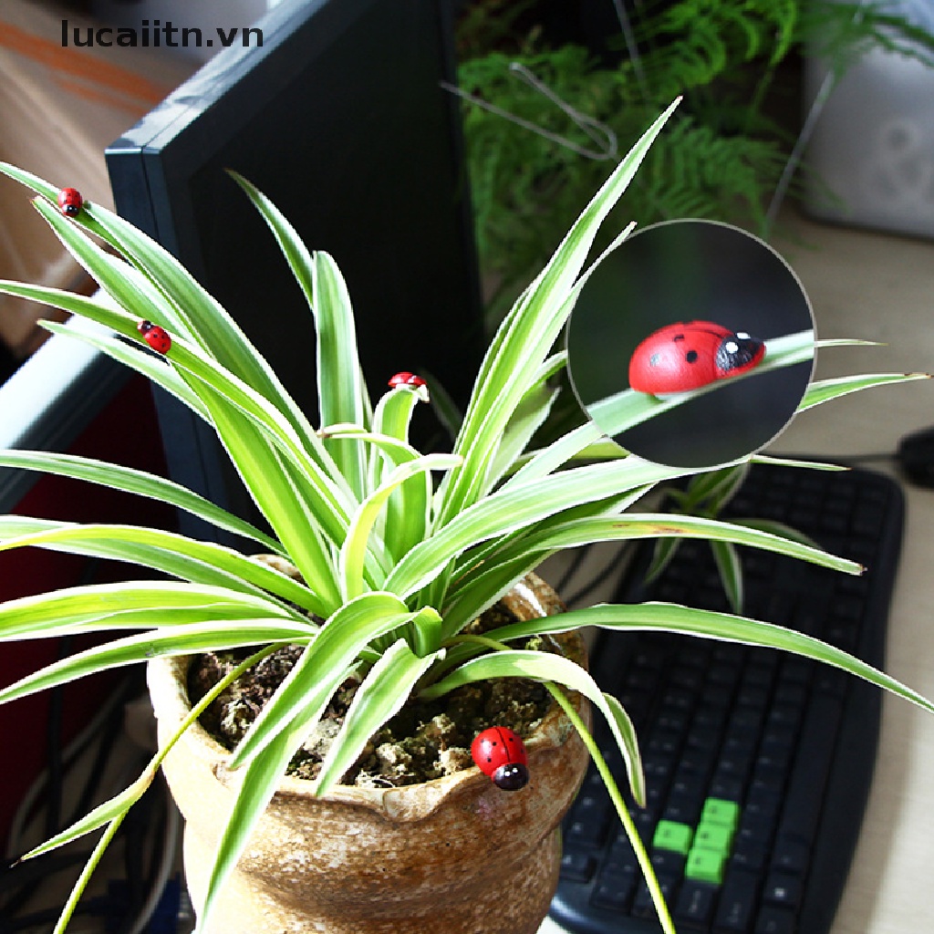 Set 100 Mô Hình Bọ Cánh Cứng Mini Dùng Để Trang Trí Nội Thất