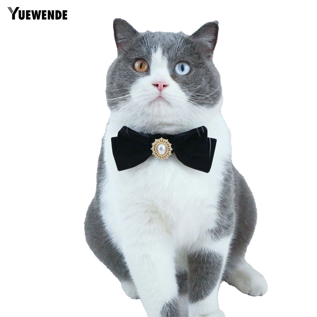 Vòng Cổ Hình Bướm Đính Ngọc Trai Nhân Tạo Có Thể Điều Chỉnh Cho Thú Cưng