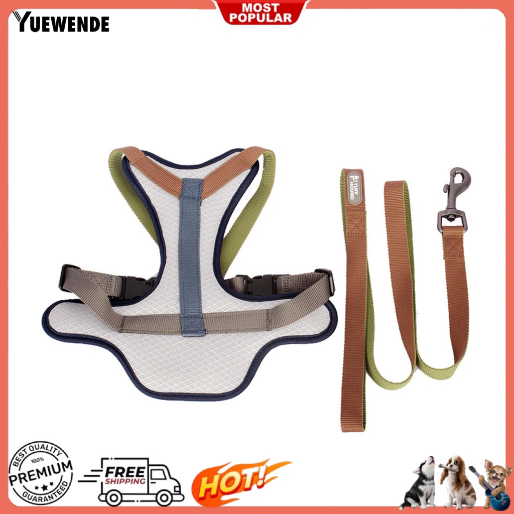 Dây Dắt Thú Cưng Đi Dạo Chống Cắn Màu Sắc Tươi Sáng