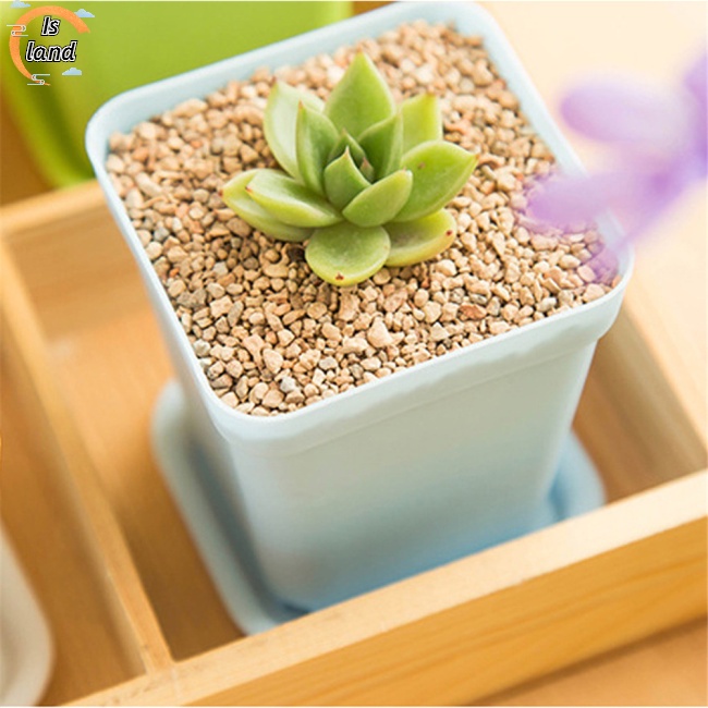 Chậu Trồng Cây Hình Vuông Mini Nhiều Màu Kèm Khay Tiện Dụng Cho Cây Xương Rồng