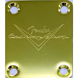 FENDER Tấm Nối Dài Cần Đàn guitar & Thân Đàn guitar
