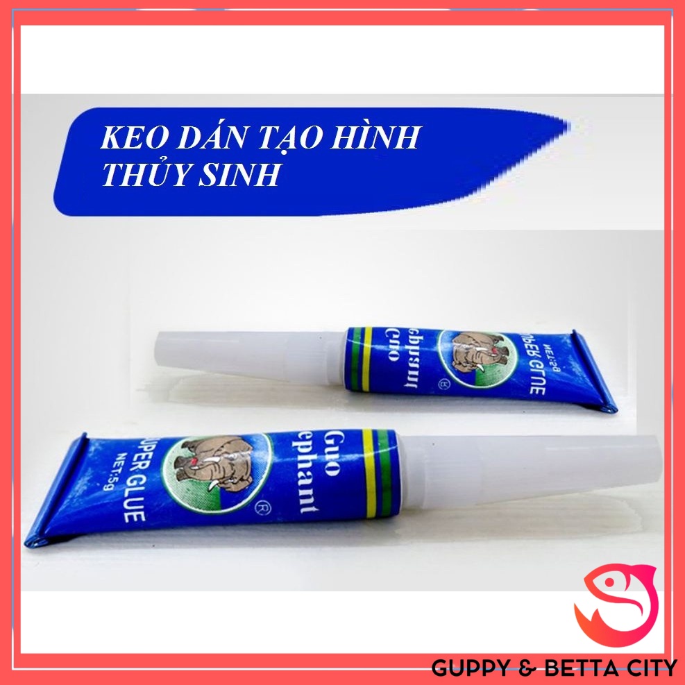 Keo dán cây thuỷ sinh | Keo chuyên dụng gắn ráy, bucep, rêu, lũa tiện lợi (có thể dán ướt)