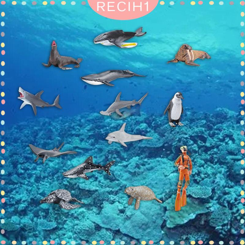 Set 13 Mô Hình Động Vật Dưới Biển Cho Bể Cá 5 6 7 8 Tuổi