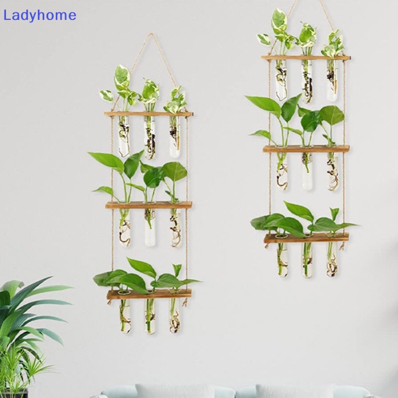 Móc Treo Đĩa Vinyl Dán Tường Siêu Dính Cho Phòng Ngủ