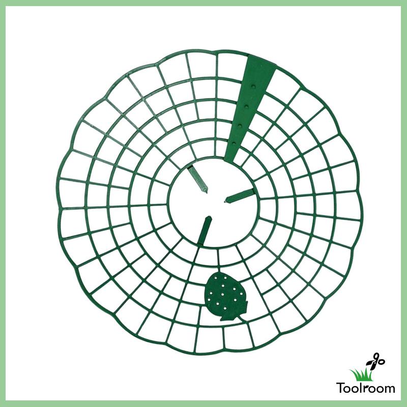 Giá Đỡ Hỗ Trợ Trồng Dâu Tây Tiện Dụng Cho Sân Vườn