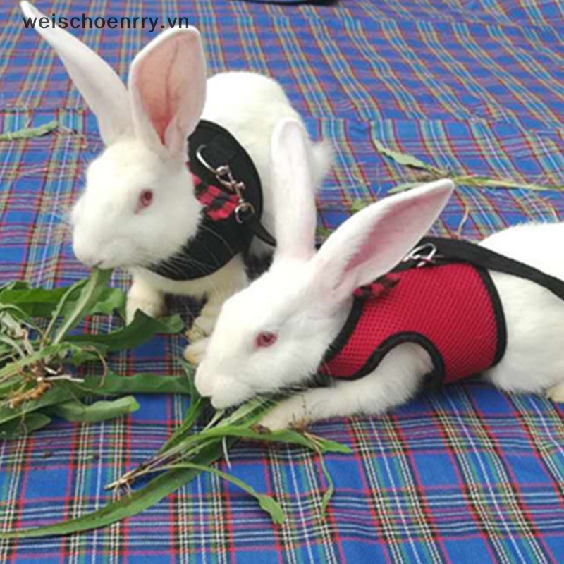 Dây Dắt Thú Cưng Đi Dạo Thiết Kế Dạng Lưới Mềm Mại Tiện Dụng Cho Hamster / Thỏ