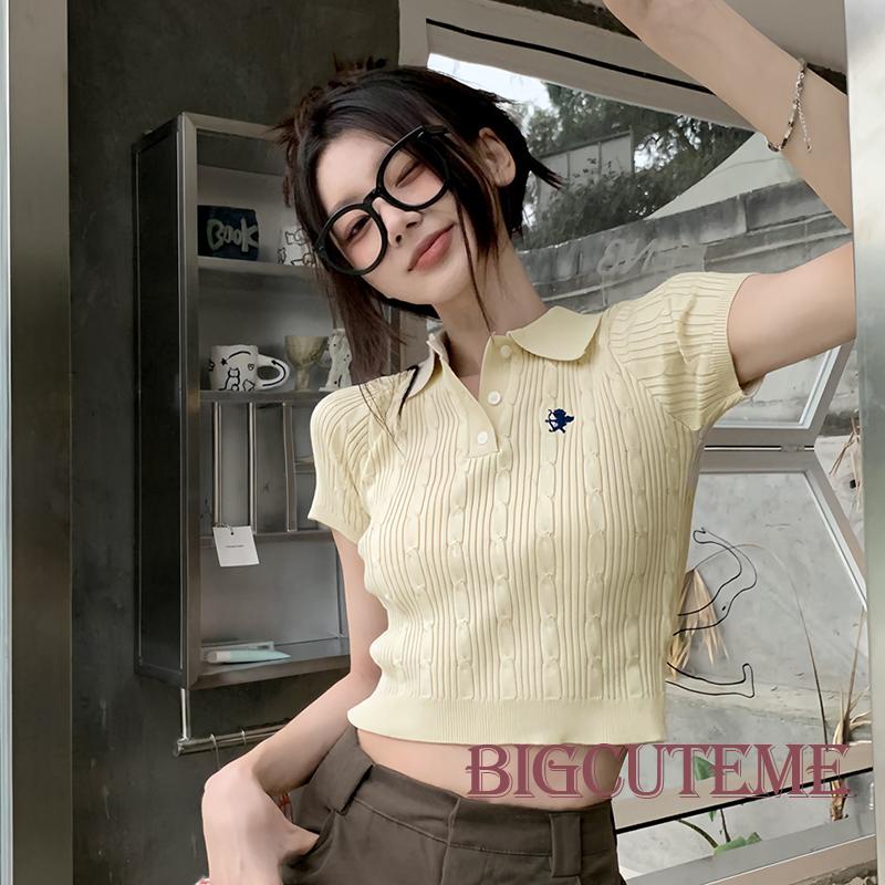 Áo Croptop Ngắn Tay Thêu Họa Tiết Thời Trang Mùa Hè Dành Cho Nữ