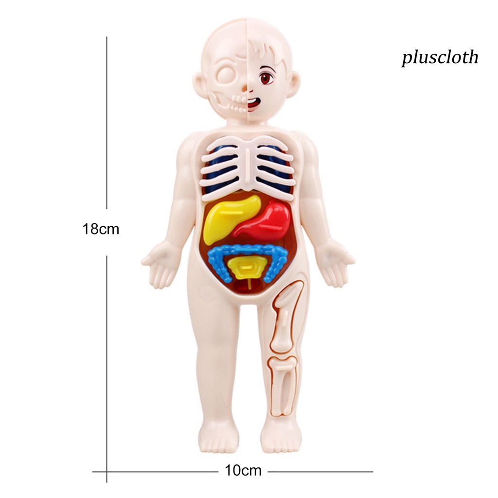 1 Bộ Đồ Chơi Mô Hình Cơ Thể Người Màu Sắc Tươi Sáng Thú Vị Giáo Dục Sớm Cho Bé