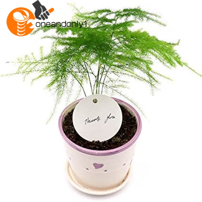 Set 100 Thẻ Giấy Tròn 6cm 20m Dùng Để Trang Trí Tiệc Cưới / Sinh Nhật / Giáng Sinh Diy