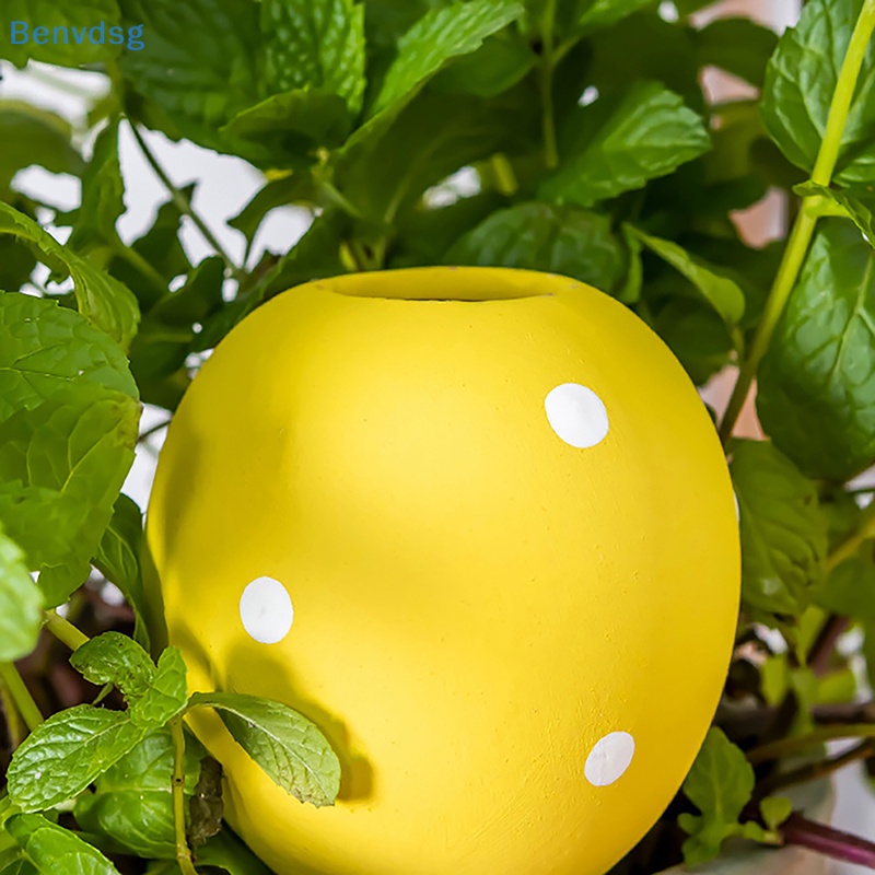 Benvdsg > Thiết Bị Tưới Nước Nhỏ Giọt Tự Động Họa Tiết Chấm Bi Nhỏ Giọt