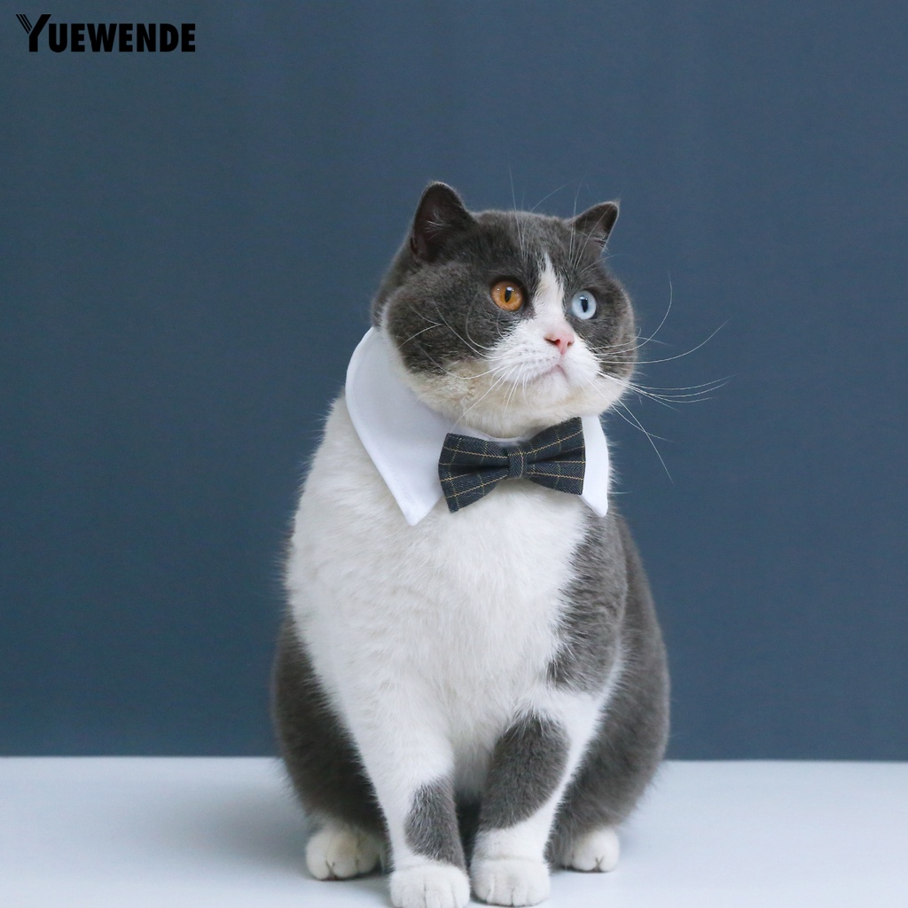 Vòng Cổ YQ.E Mềm Mại Có Thể Điều Chỉnh Dành Cho Thú Cưng