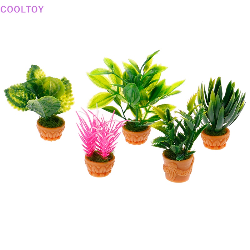 1 Đồ trang trí Nhà Búp Bê COOLTOY 1: 12 Mini Trang Trí Tiểu Cảnh