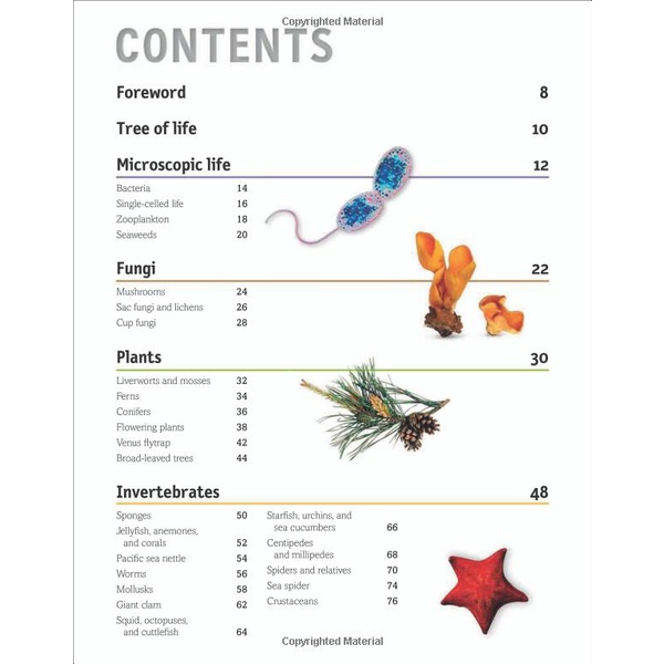 Sách The Animal Book