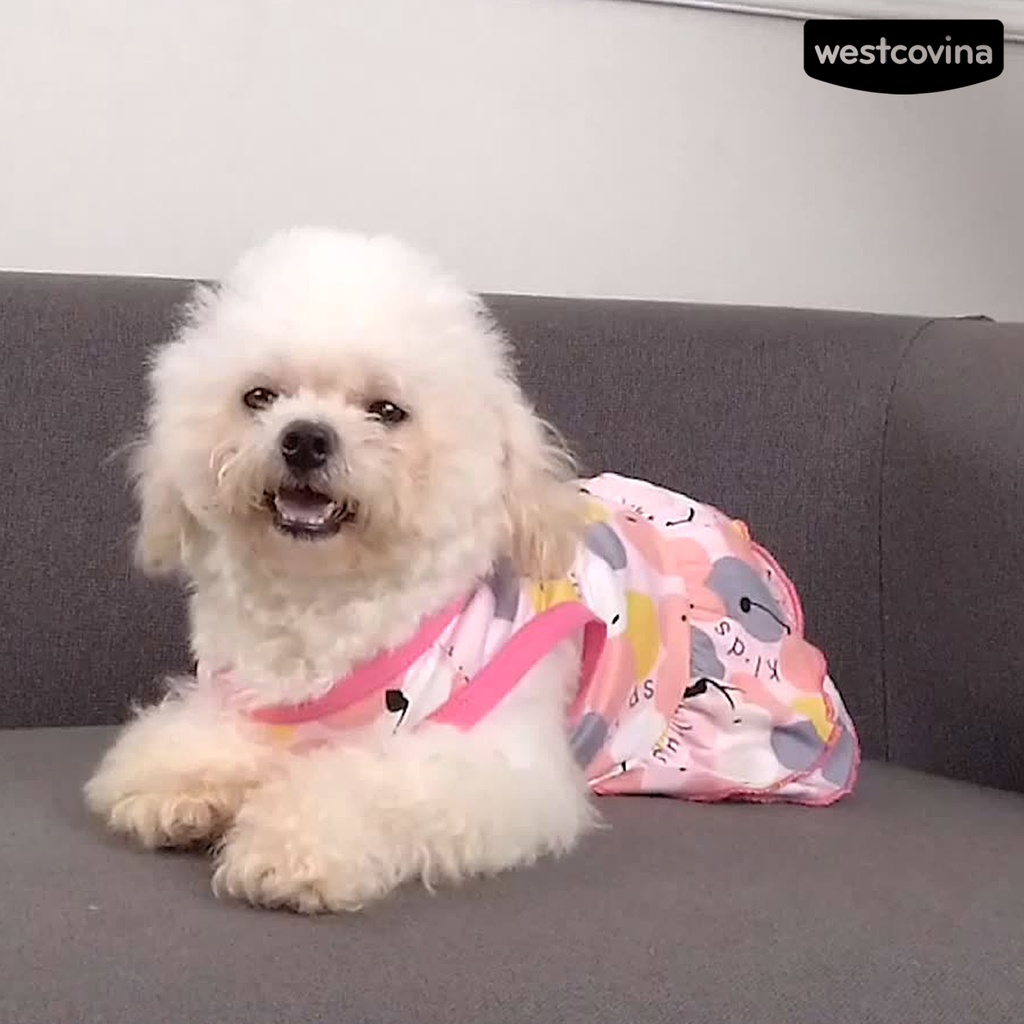 [COD]♞Đầm Công Chúa Mùa Hè Hai Lớp Bằng Vải Cotton Viền Xếp Nếp In Họa Tiết Trái Cây Cho Cún