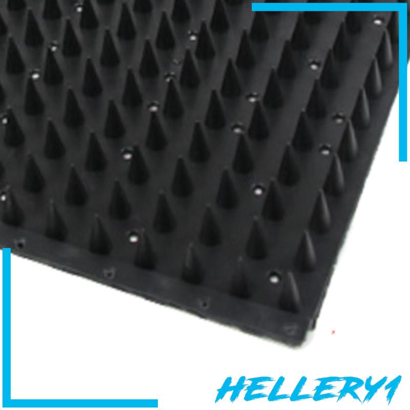 Bàn Chải Massage Đa Năng 16.54 ''