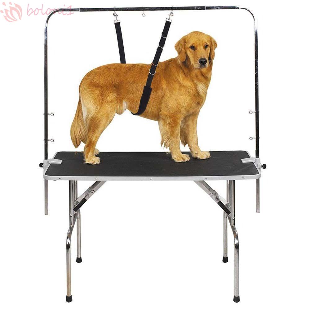 [COD] Bộ Dây Đeo / KẹP VòNg Cổ Nylon DùNg Tắm Cho Thú Cưng