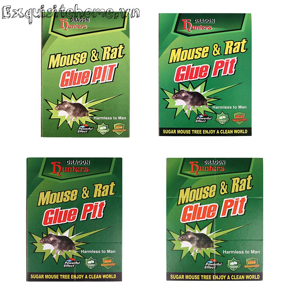 Dụng Cụ Bẫy Chuột Tiện Lợi Cho Gia Đình