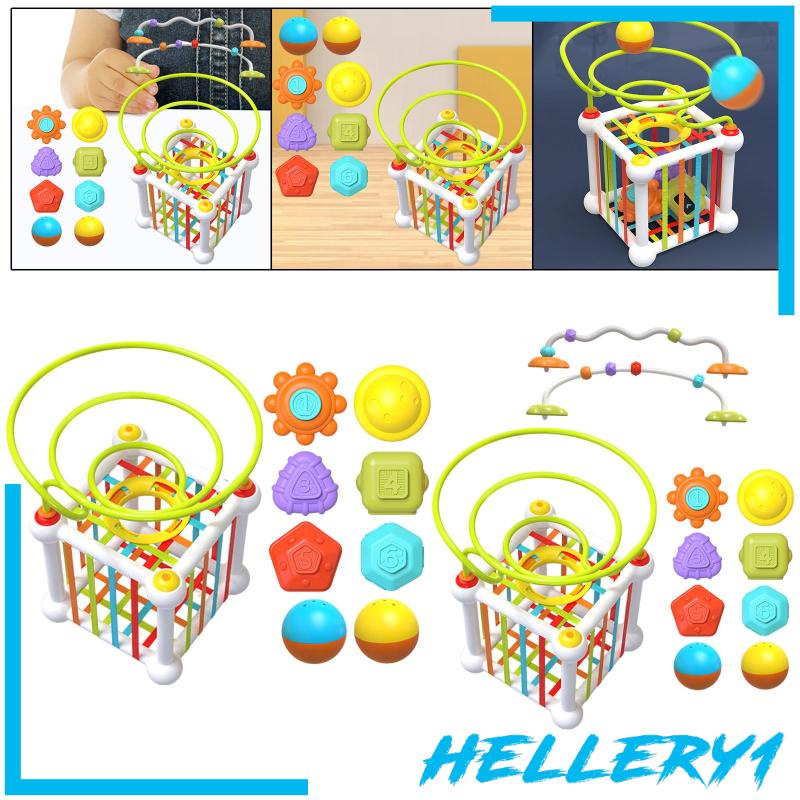 Trò Chơi Phân Loại Kết Cấu Bi Kết Cấu Cho Hoạt Động Ngoài Trời