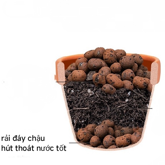 HẠT ĐẤT NUNG POOPER Siêu hút thấm nước, trang trí rải bề mặt đất kiểm soát dinh dưỡng cho sen đá, xương rồng