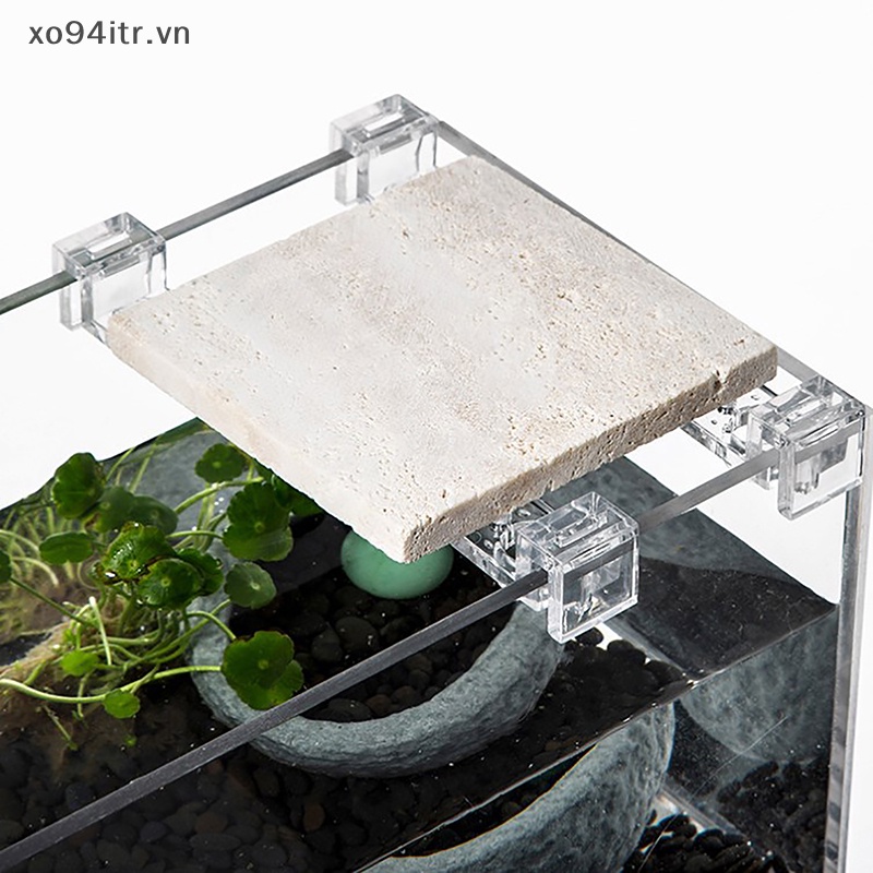 Xoitr 4 cái 6mm / 8mm / 10mm cá acrylic kẹp hồ cá nắp đậy hỗ trợ giá đỡ kẹp đứng cung cấp hồ cá vn