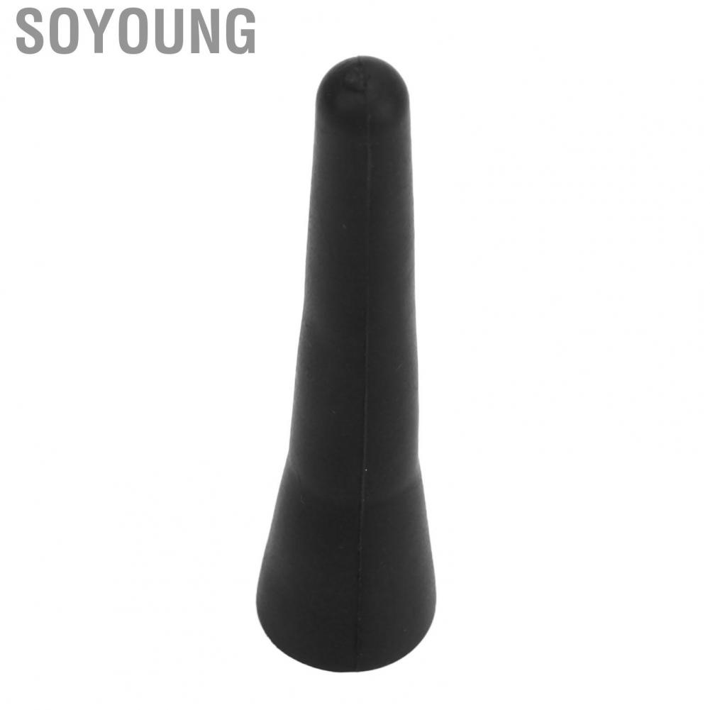 Soyoung Roof Mount Short  Size for Car