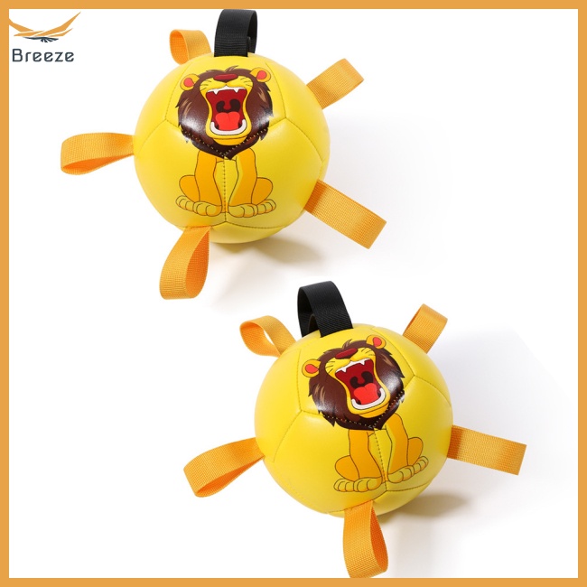 Bóng Đá Đồ Chơi Đa Năng Dành Cho Chó Cỡ Nhỏ / Vừa / Lớn