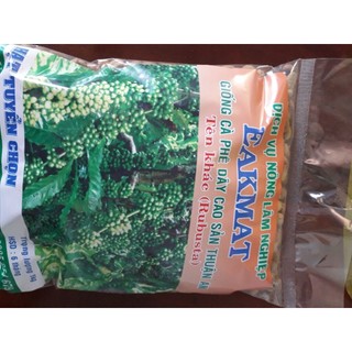 Hạt giống cà phê dây thuận an có bảo hành.