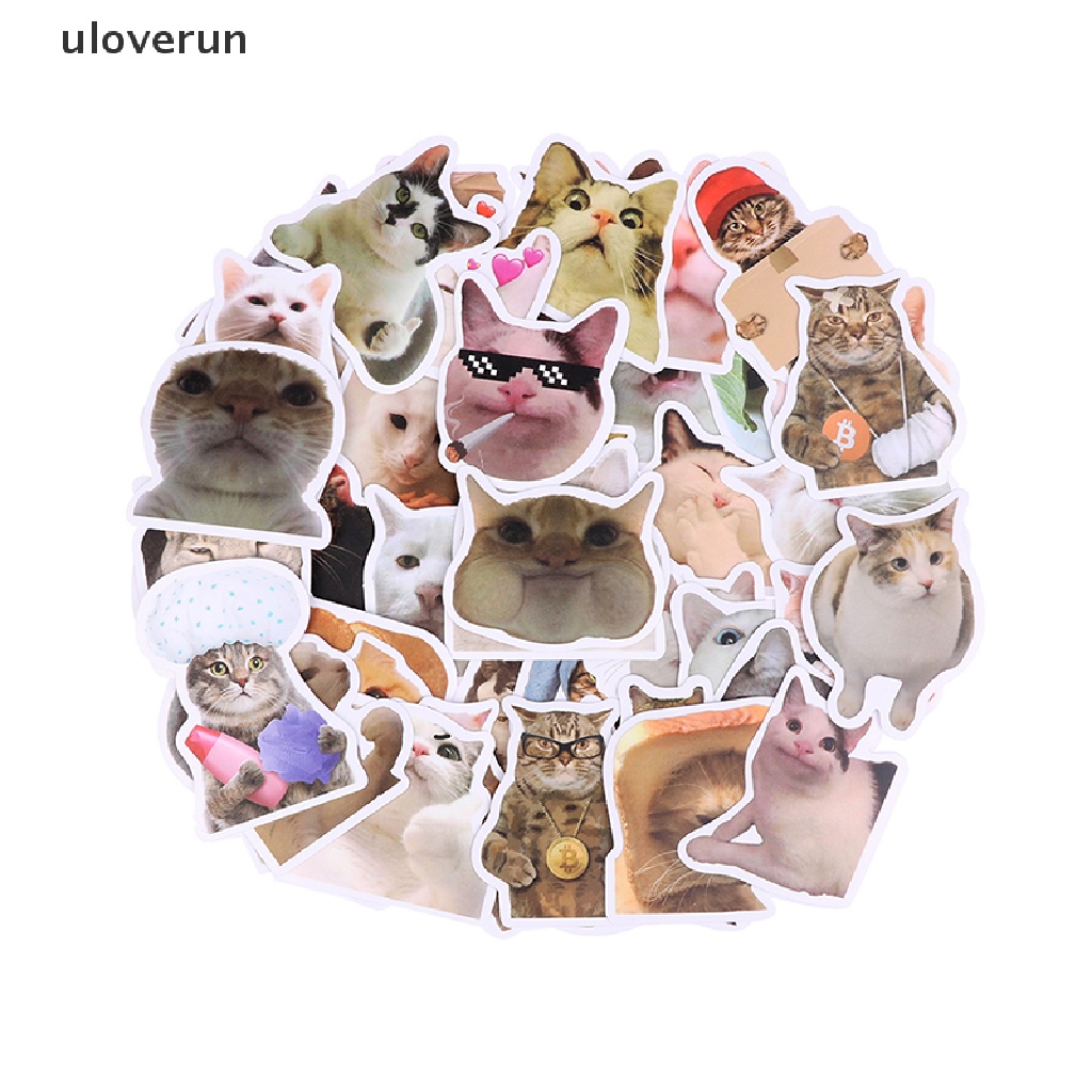Set 50 Miếng Dán Chống Thấm Nước Hình Chú Mèo Ngộ Nghĩnh Dễ Thương