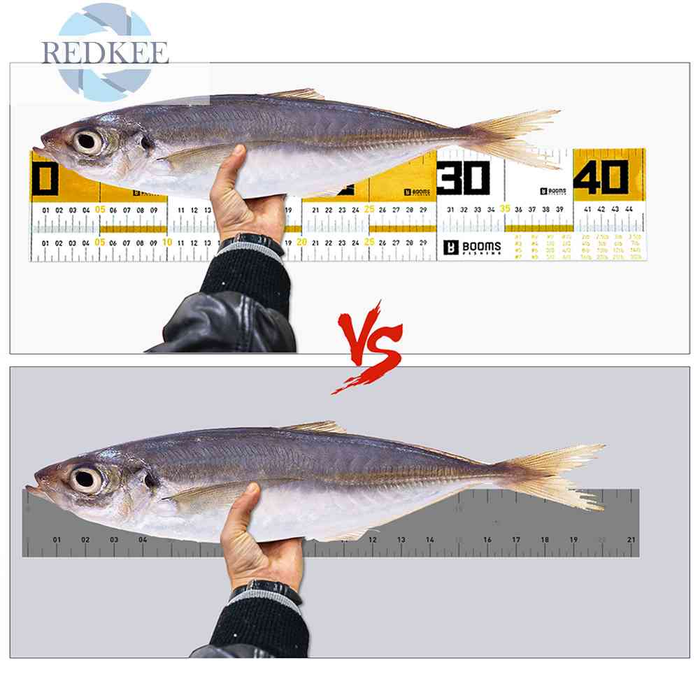 Bộ 2 Thước Đo Lường 65cm Gắn Mồi Câu Cá Chuyên Dụng