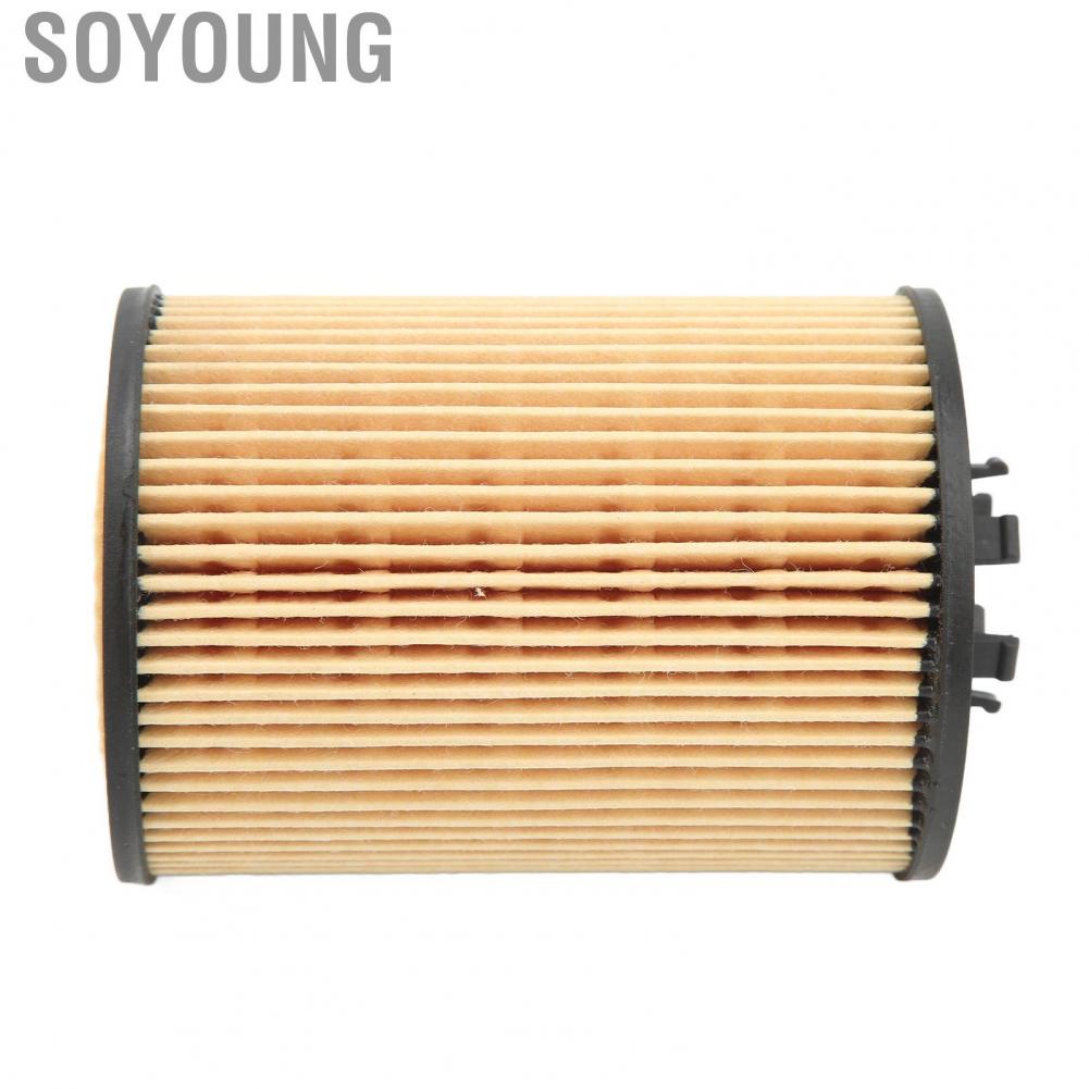Soyoung 11427511161  Stable Performance Clean Impurities Engine Oil Filter Easy To Install for E53 E60 E63 E65 E66