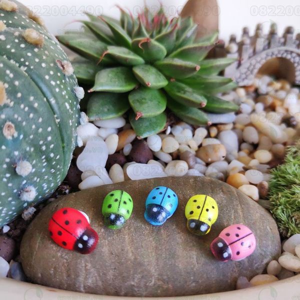 Mô Hình Tiểu Cảnh "Combo 10 bé Bọ Rùa Gỗ Mini" Trang Trí Sen Đá, Sân Vườn/ Chậu Cây, DYI, Terrarium
