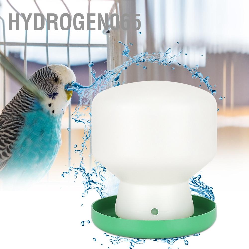 Hydrogen065 Lớn Nhựa Xanh Bao Trắng Nòng Vòi Nước Uống Tự Động Chim Ăn Đựng Cho Bồ Câu Vẹt