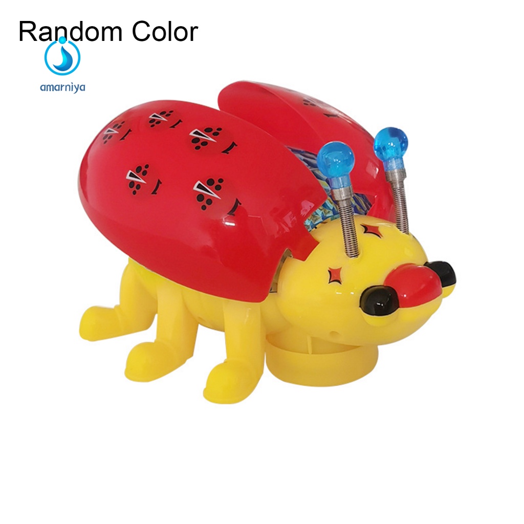 Mô Hình Bọ Rùa Điện Tử Có Nhạc Cho Bé