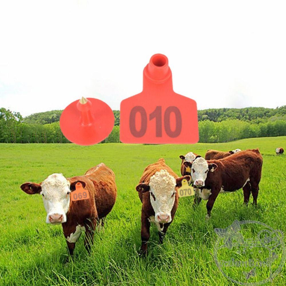 Aventine Bông Tai Hình Cừu Bằng TPU Bền Bỉ Sáng Tạo Nhiều Màu Sắc