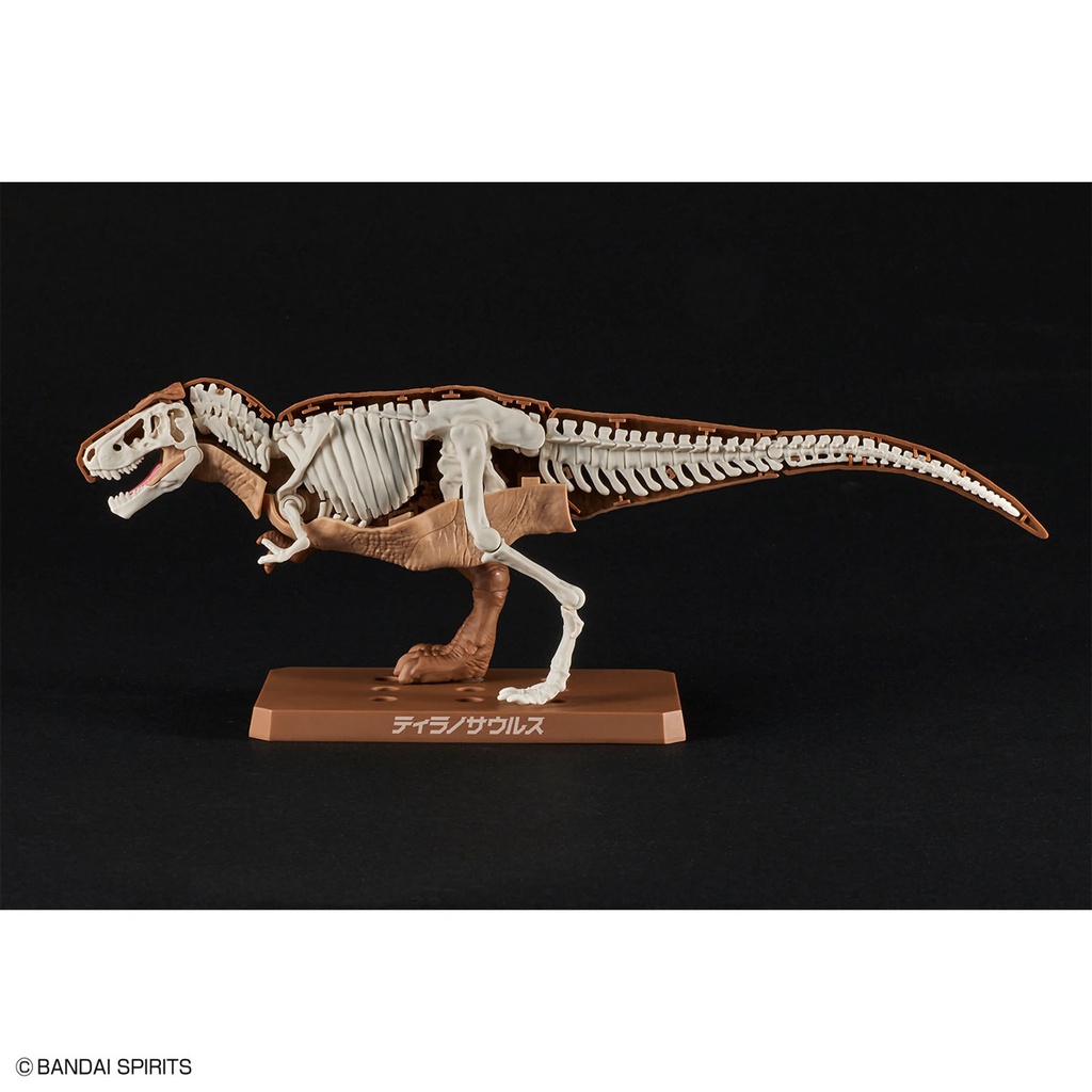 Bandai Mô Hình Lắp Ráp Khủng Long PlannosaurusTyrannosaurus Bằng Nhựa