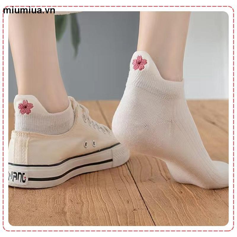 miumiuaTất nữ cổ cao họa tiết gấu đáng yêu phong cách Hàn Quốc nhiều mẫu