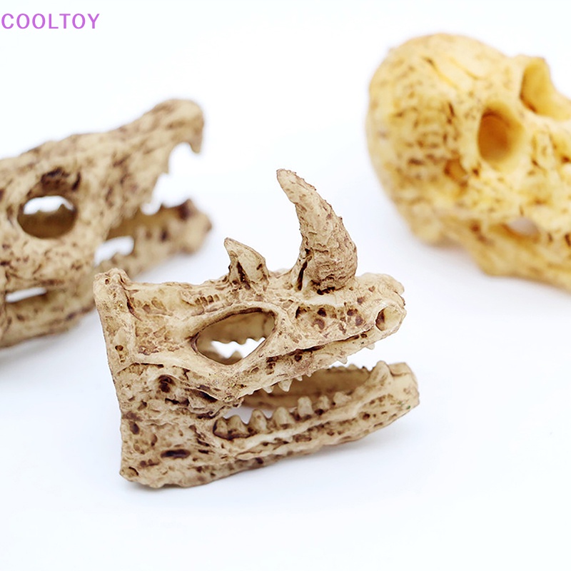 Cooltoy Mô Hình Đầu Lâu Động Vật Tỉ Lệ 1: 12 Trang Trí Tiểu Cảnh Halloween