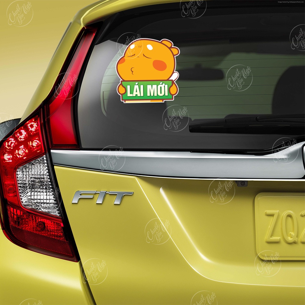 Combo 2 miếng dán Khủng Long Vàng Lái Mới lấy bằng thông cảm dễ thương trang trí xe hơi ô tô decal nhựa chống thấm nước