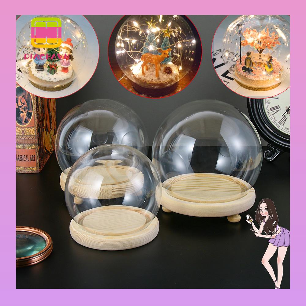 Bình Hoa Thủy Tinh Hình Cầu Dùng Trang Trí Nhà Cửa