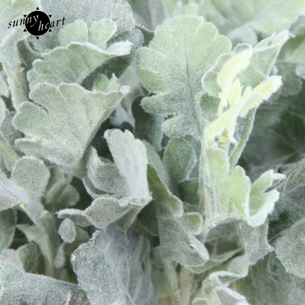 1 Nhánh Lá Nhân Tạo Yinqiao Trang Trí Bàn Làm Việc / Khách Sạn / Trong Nhà / Ngoài Trời